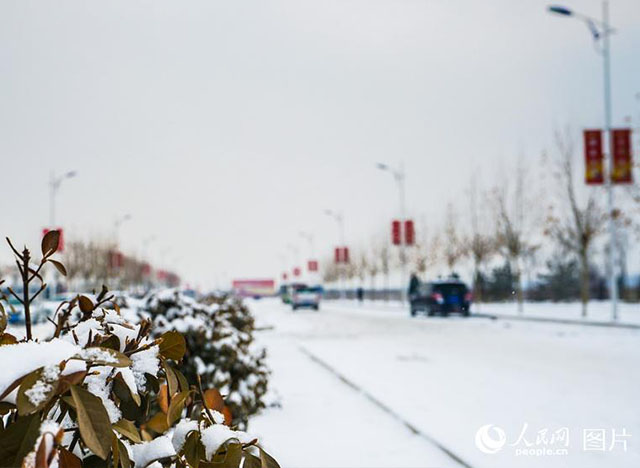 疑是林花昨夜开！雄安迎来2018年第一场雪