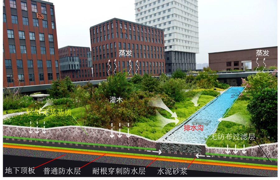 2015年西咸新区入选国家首批海绵城市建设试点,试点区域位于沣西新城