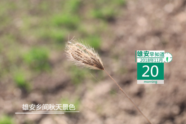 雄安早知道（2018年11月20日）