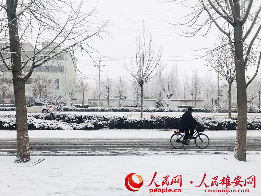 圖為雄安新區容城縣雪景。杜亞輝 攝