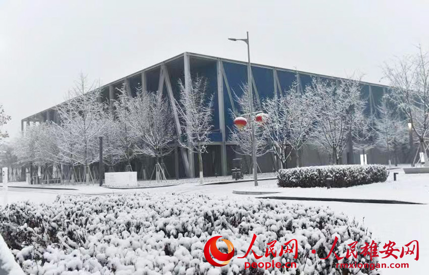 圖為雄安新區市民服務中心雪景。劉向陽 攝