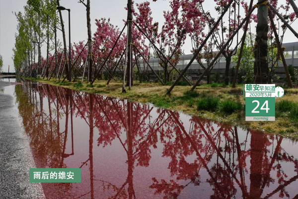 雄安早知道 年5月24日