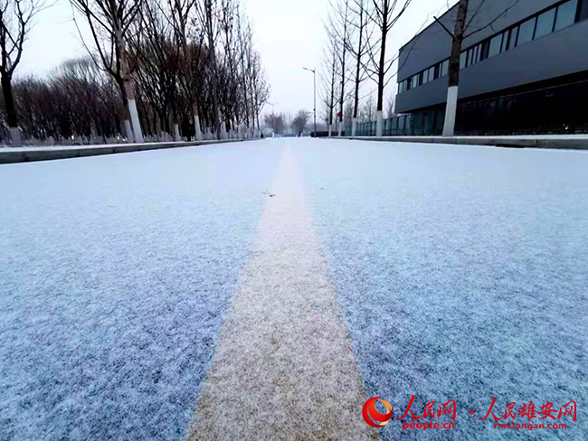 �۰����������������ѩ��������������