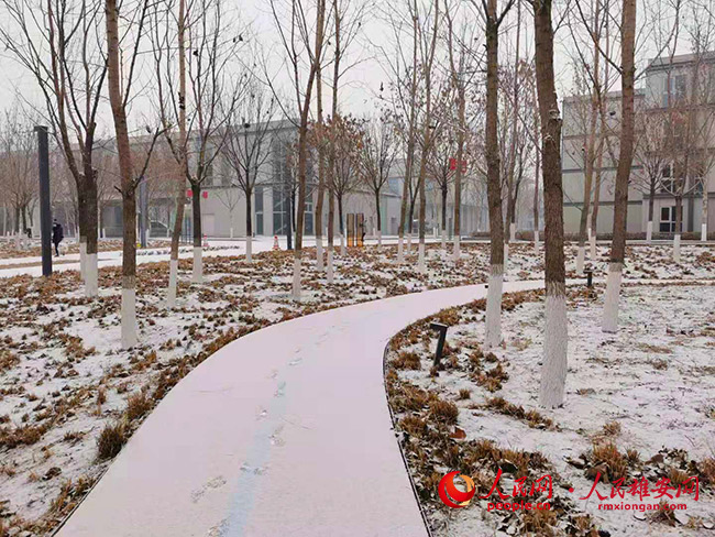 �۰����������������ѩ��������������