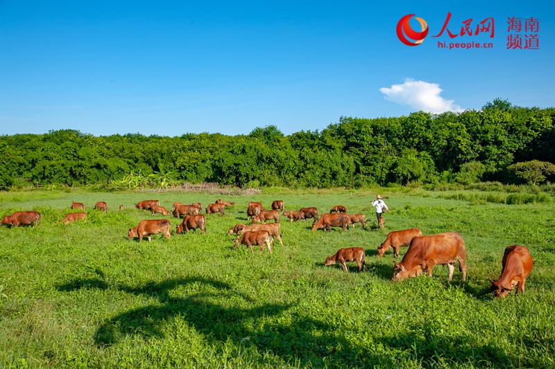 ����ʯ�ݴ�����������ʯ�ݴ�������