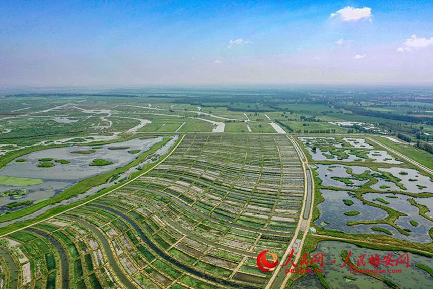 府河河口濕地水質淨化工程現場（上側為藻苲澱水系疏通項目）。人民雄安網 李兆民攝