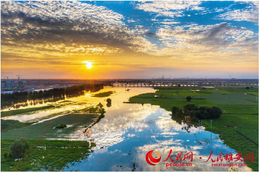 雄安新區雄縣新蓋房大橋美景。柴志 攝