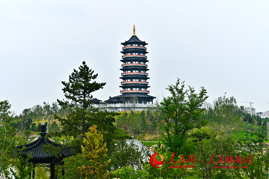 圖為雄安悅容公園。劉向陽攝