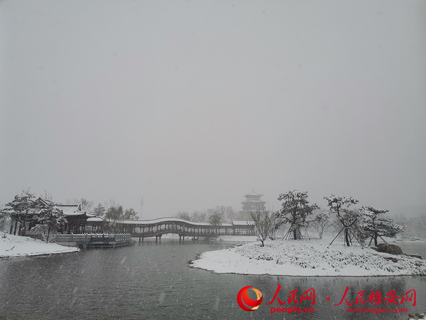 雄安悅容公園。馮志鵬攝