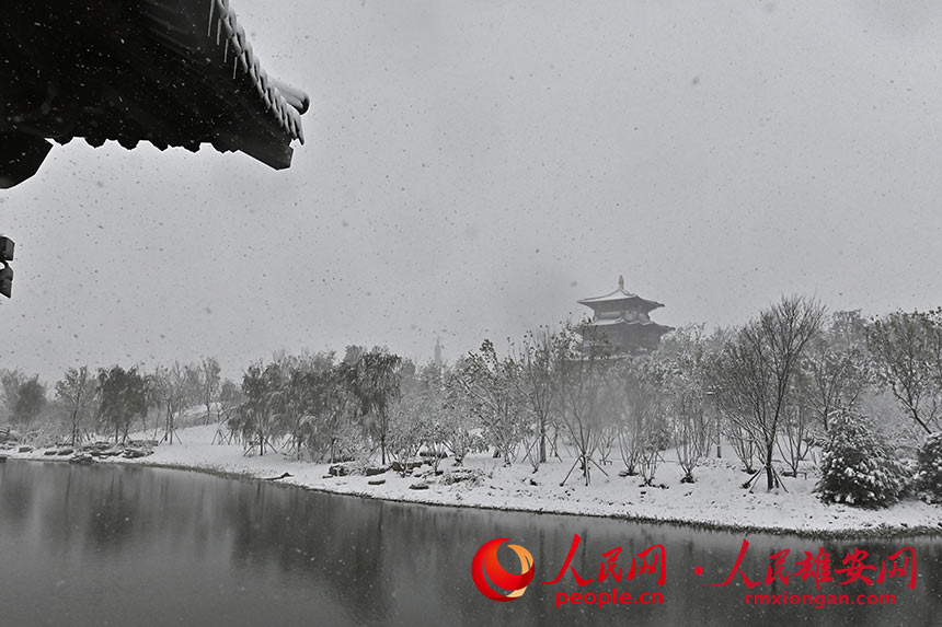 雄安雪景。劉向陽攝