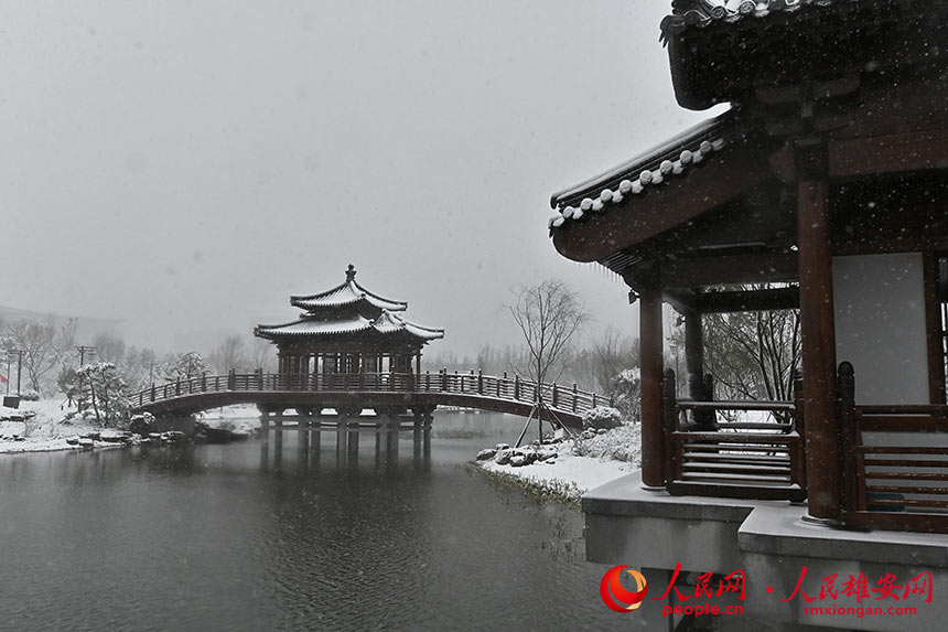 雄安雪景。劉向陽攝