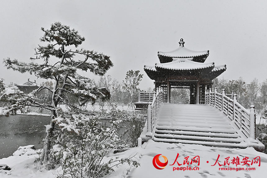 雄安雪景。劉向陽攝