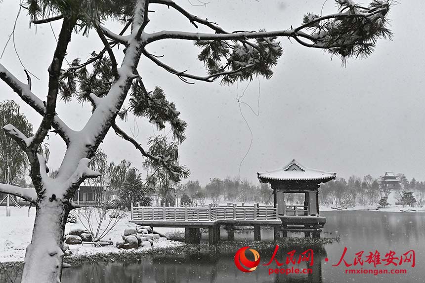 雄安雪景。劉向陽攝