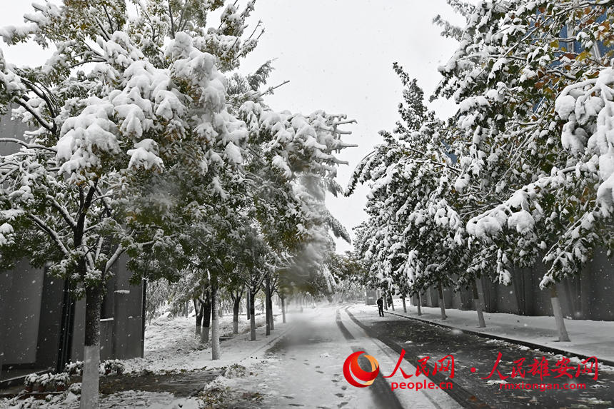 雄安雪景。劉向陽攝