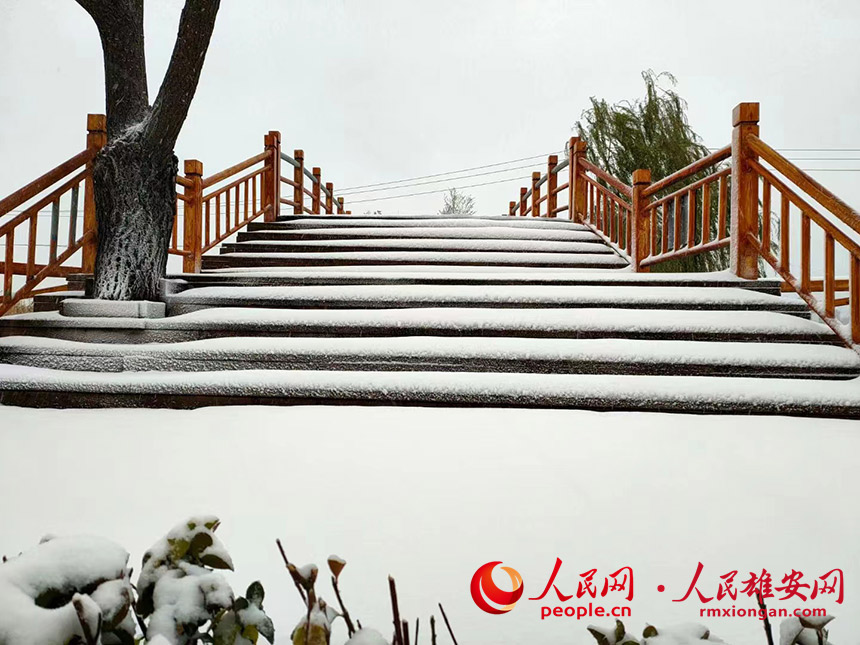 雪中的安新縣東澱頭村。郭萌萌攝