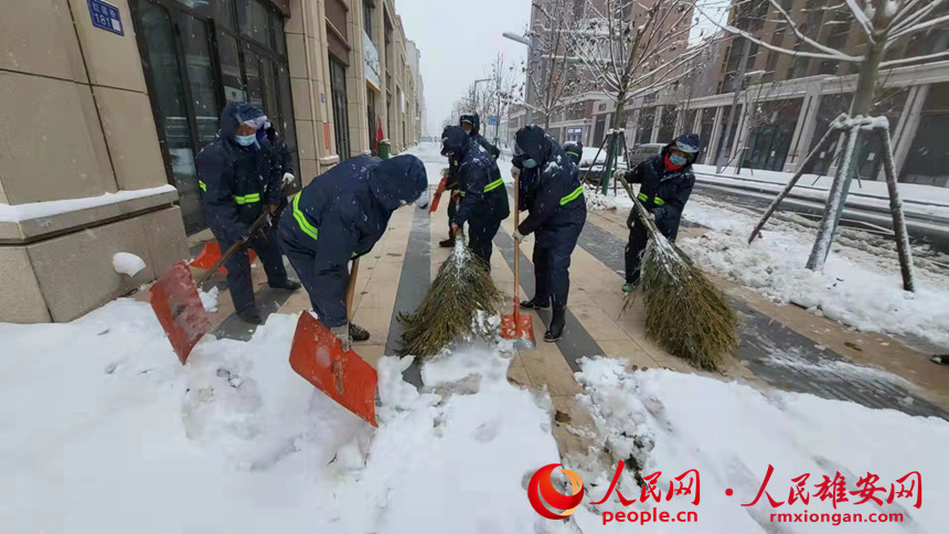 雄安集團生態建設公司環衛作業隊伍全體出發，對容東片區各主干道進行除雪清掃，對積雪較厚區域進行固體融雪劑撒布，並對各組團重點區域和公共衛生間門前、人行道等進行大面積人工除雪，確保出行方便和交通安全。雄安集團生態建設公司供圖