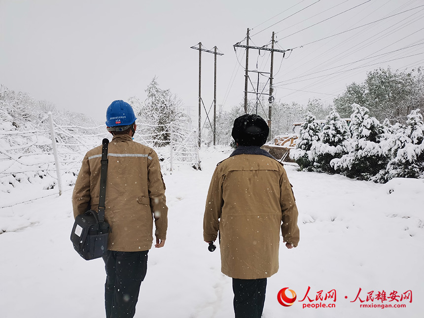 11月7日，国网雄安新区供电公司同口供电所员工冒雪清理同口512线路旁树上的积雪。李亚琨摄