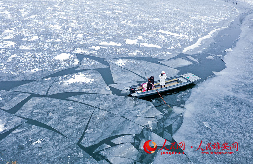 進入深冬，白洋澱大部分水面已結冰。張學農攝