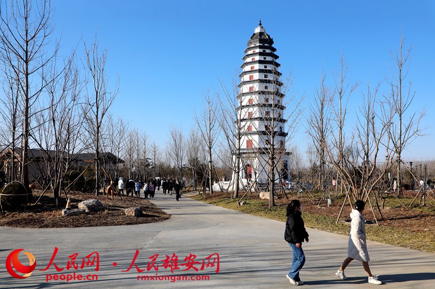 在雄安郊野公園游玩的游客。胡忠攝