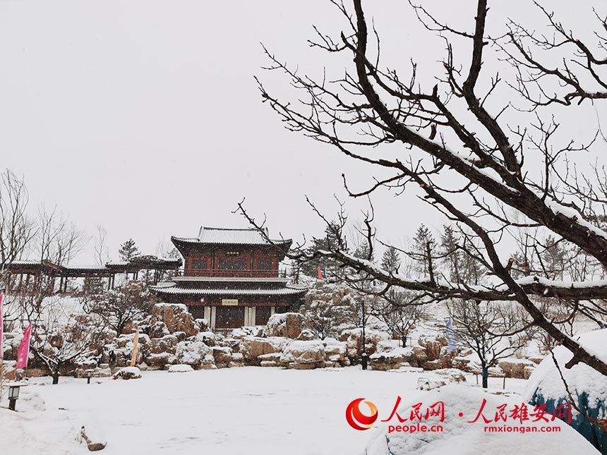 雄安新區悅容公園雪景。劉向陽攝