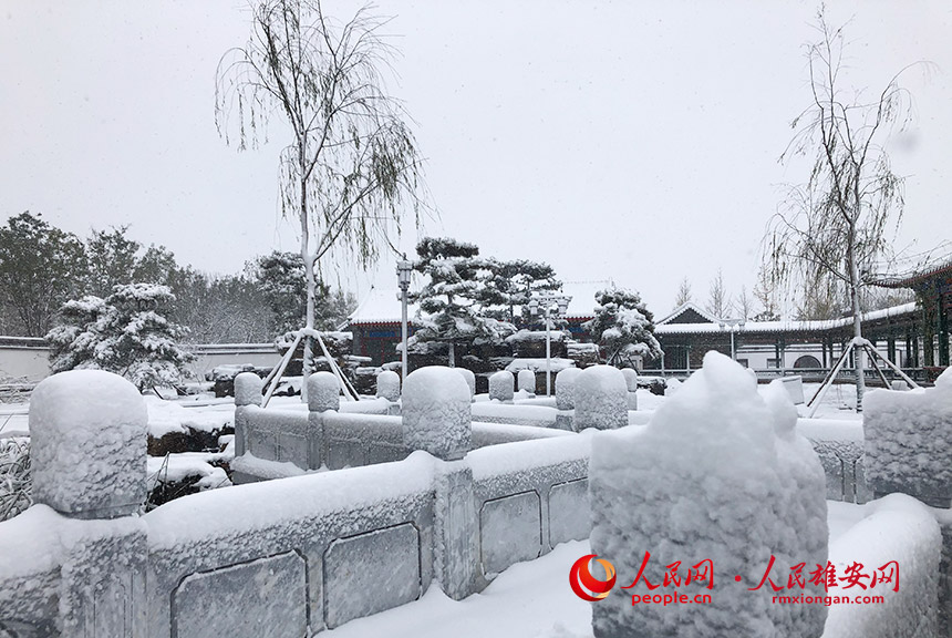 雄安新區悅容公園雪景。王世恆攝