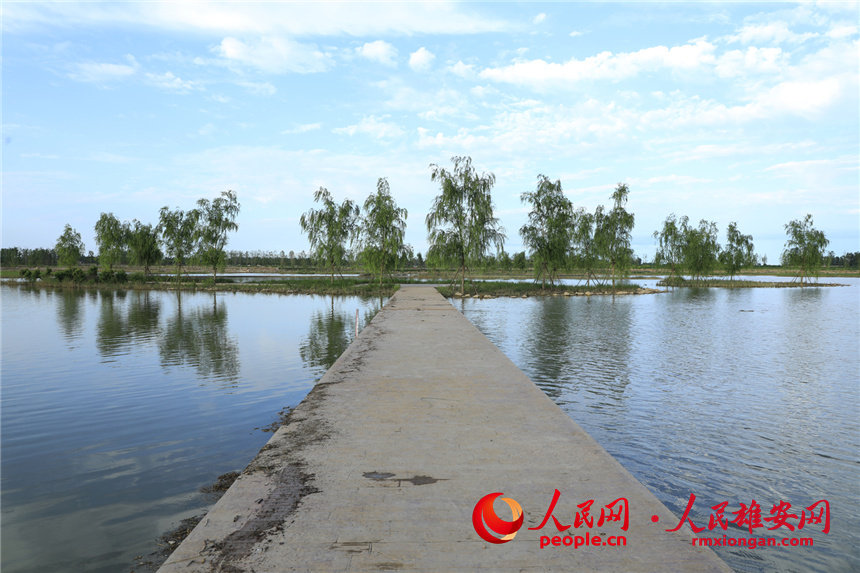 圖為建好后的金灘公園。胡忠 攝