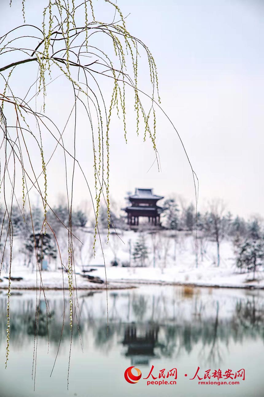 雪中的雄安悅容公園景色。楊亞文 攝