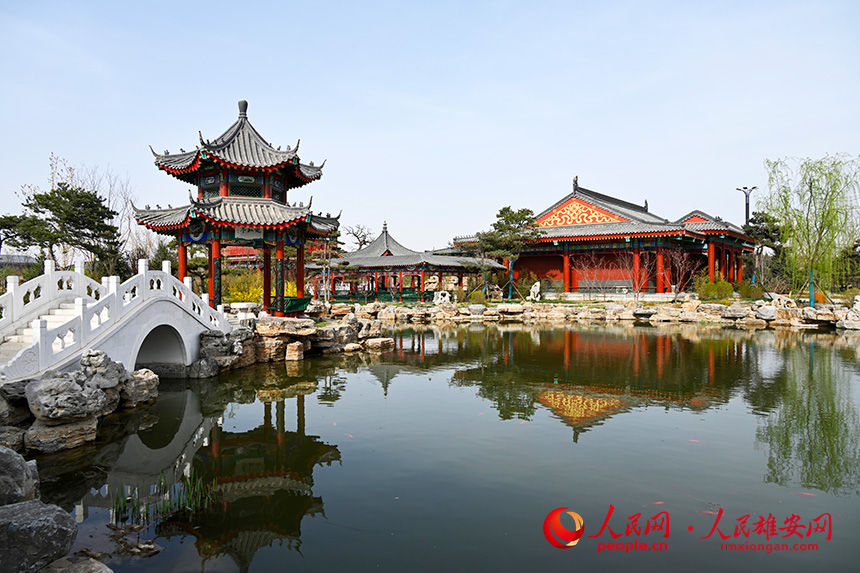 春天的雄安郊野公園，春和景明。胡忠攝