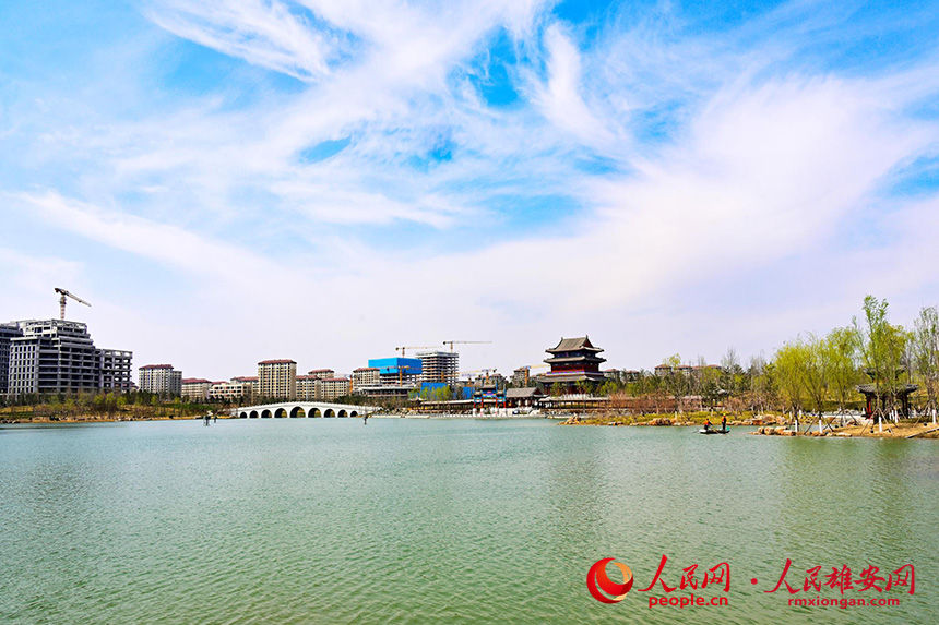 春風吹過，雄安金湖公園中央湖泛起層層漣漪。胡忠攝