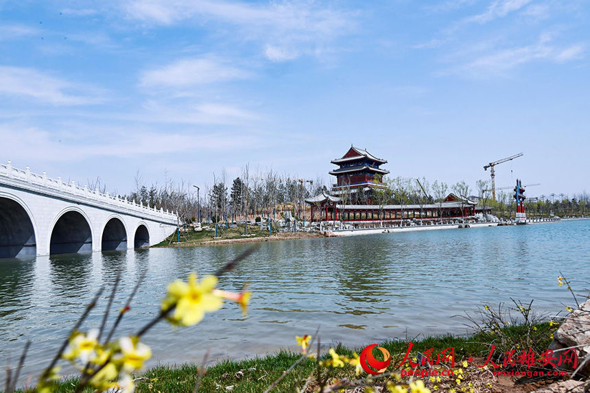 雄安金湖公園裡，春意盎然。胡忠攝