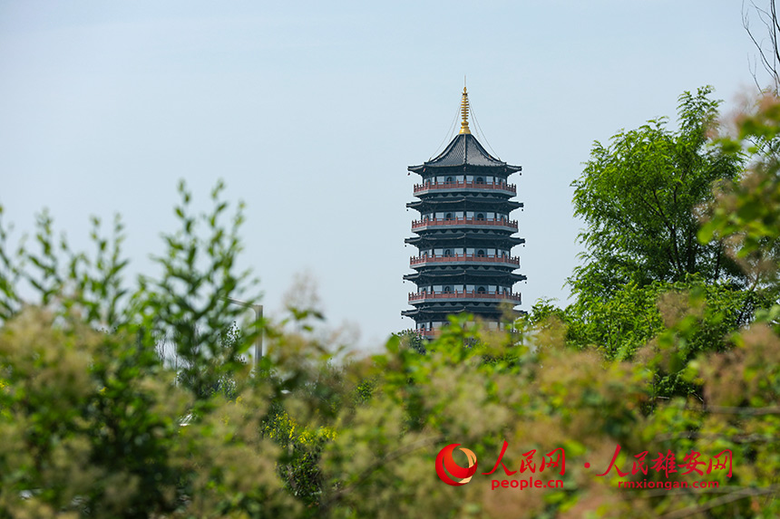 遠眺悅容公園安和塔。陳世豪攝