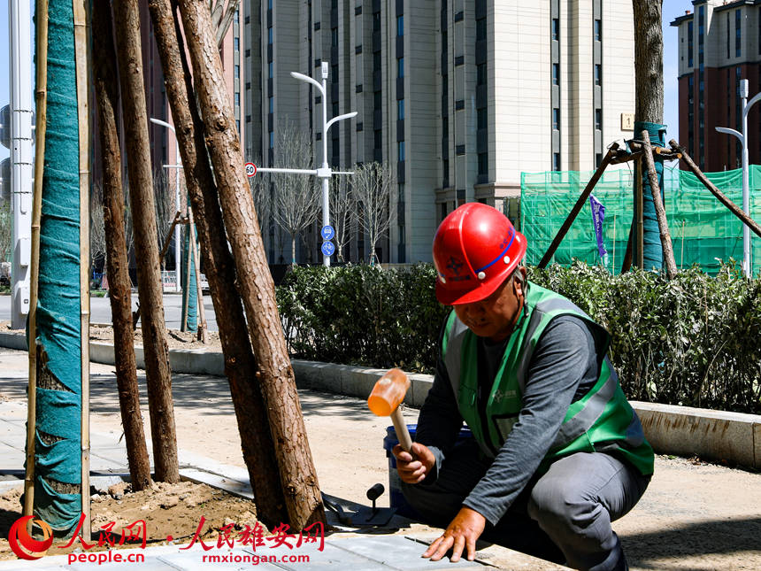 燕趙東大街上，工人師傅正在進行人行步道鋪磚作業。人民網 宋燁文攝