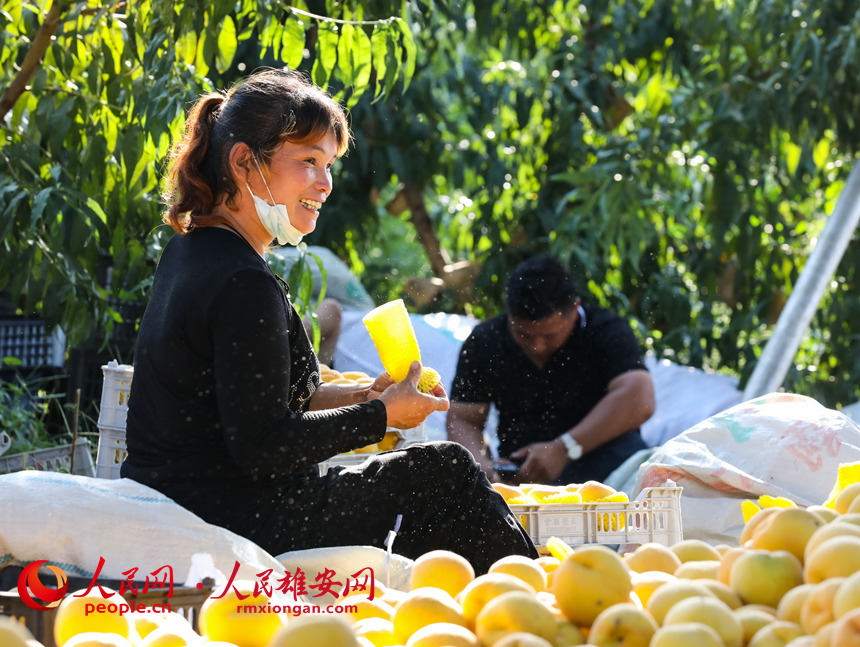 村民们正在将桃子打包。人民网 李兆民摄
