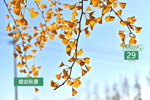                         ●雄安15名。河北省十四届人大代表名额分配和选举时间确定。●《雄安 雄安》19:43央视2套播出。●上半年补贴申请开启。雄安自贸区制定奖补资金申报明白卡。●雄安率先实现基层证明网上开具。●正式挂牌。雄安创新研究院技术合同登记站成立。            