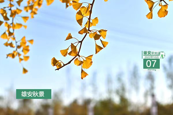                         ●雄安要推动形成“能者上、优者奖、庸者下、劣者汰”的用人导向。●将雄安的地铁开进北京。R1线初期行车间隔不大于10分钟，远期行车间隔3分钟。●雄安容东、容西、雄东已有近1500栋住宅建成交付。●本月起，央企设合规委员会和首席合规官。            