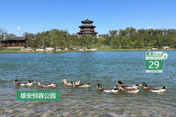                        ●十九届中央纪律检查委员会工作报告提到雄安。●由11%提高到34%。雄安又一数据官宣。●雄安面向全国招干部人才，下周一开始报名。●下月将在雄安举办的盛会提前“剧透”。●年产原油48万吨左右。雄县境内有油井1266口。            