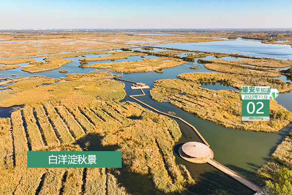                         ●雄安鼓励中小微企业进行整合重组。●今年前三季度，雄安拉动河北省投资1.5个百分点。●明天起报名。雄安面向全国选聘专业干部人才。●今年工业设计创新成果展雄安主场馆面积超60%。●雄安“雄才卡”分3类，服务期为5年。            