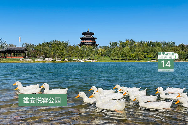                         ●雄安集团发布58项需求，涉及房屋、基建、智能化等。●在雄安，智能网联车辆将逐步替代传统公交。●设置3600多台服务器机柜。雄安城市计算中心细节公布。●明年，雄安宣武医院将开诊运营。●转扩：雄安新建片区供暖服务热线公布。 