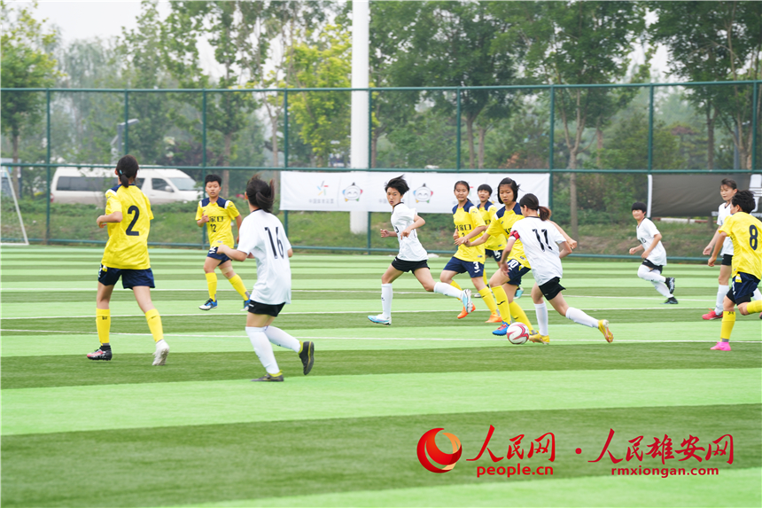 看現場！河北省青少年足球賽正在雄安火熱開賽 