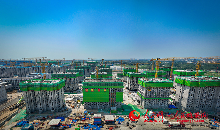 組圖丨雄東B單元45棟住宅樓封頂 未來可保障2000多名群眾安居