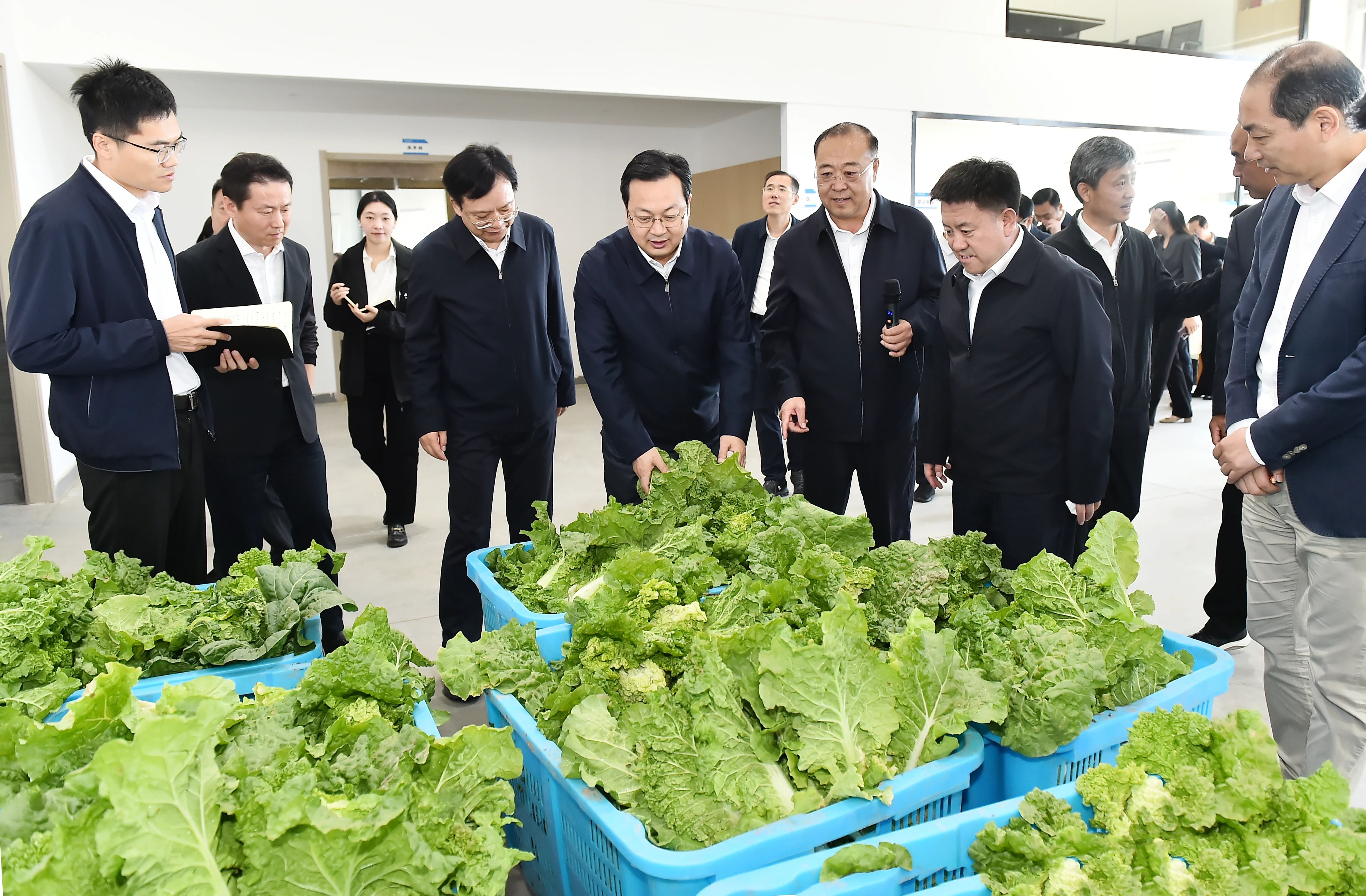 雄安新區開展鄉村振興觀摩活動。劉向陽攝