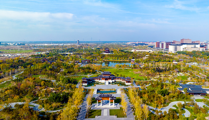 航拍初冬時節的雄安悅容公園，枝頭的綠葉還未被徹底“浸染”。齊鑫攝