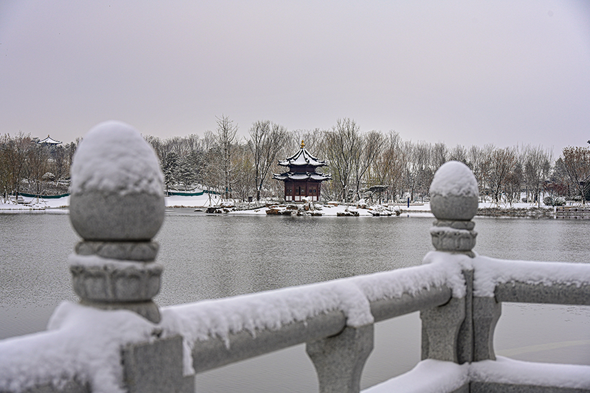 雄安新区容东片区园林雪景。胡忠摄