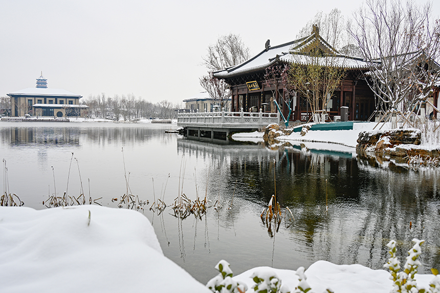 雄安新区容东片区园林雪景。胡忠摄