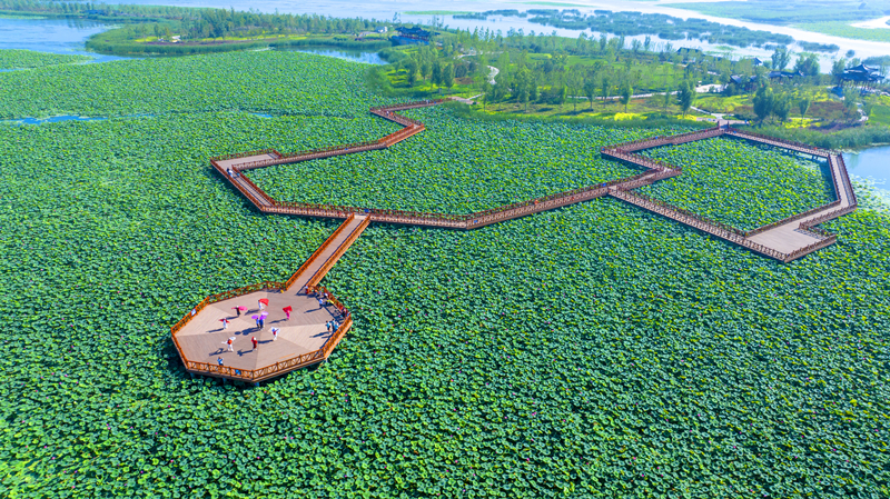 DJI_20240718082634_0126_D_副本