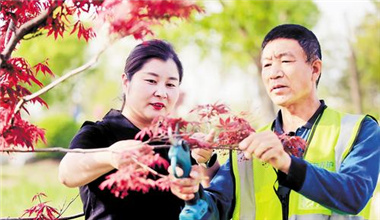 他們，是雄安大地上“閃耀的群星”