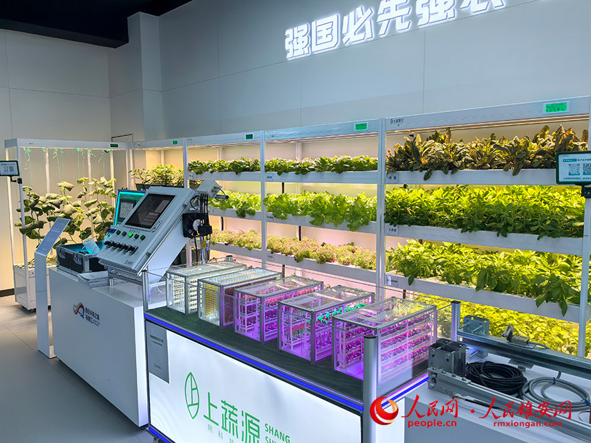 智慧农业体验区。人民网记者 王红摄