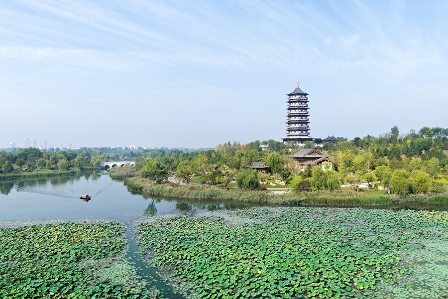 雄安悦容公园。胡忠摄