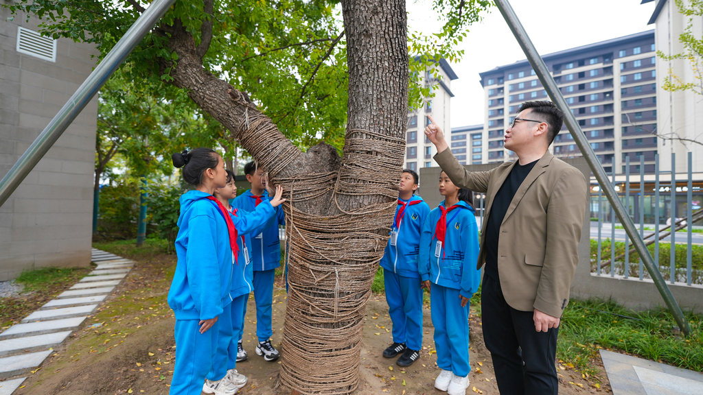 10月16日，雄安史家胡同小学，雄安新区教育局工作人员为学生们介绍乡愁树相关情况。河北日报见习记者 李畅 摄