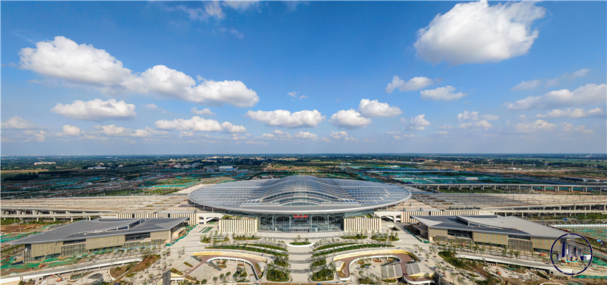 青莲滴露。任双欢摄